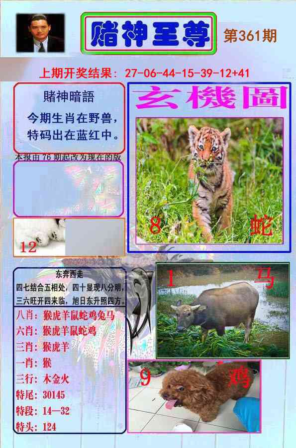 361期赌神至尊[图]