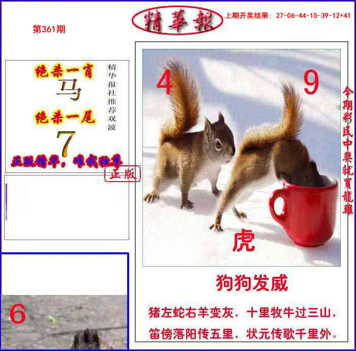 361期新精华报报[图]