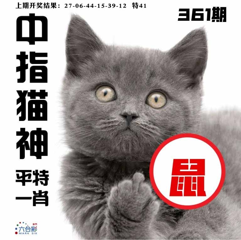 361期中指猫神[图]