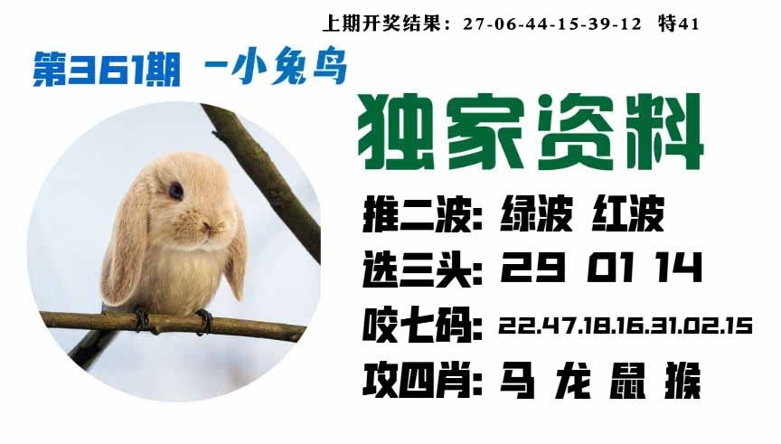 361期小兔鸟[图]
